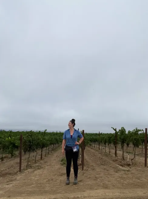 Abigail Horstman Estrada vineyard field open plane
